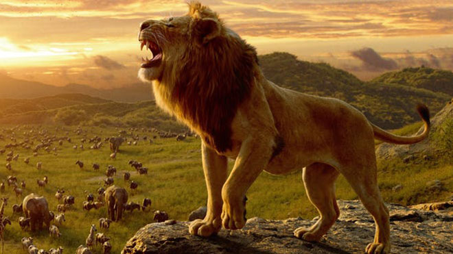 aslan kral
