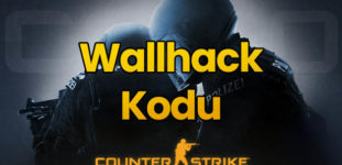 CS:GO Wall Hack Kodu